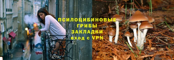 прущая мука Богданович